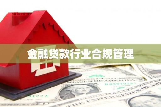 蒙自金融贷款行业合规管理