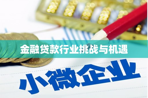 河东金融贷款行业挑战与机遇