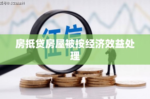 嘉禾房抵贷房屋被按经济效益处理
